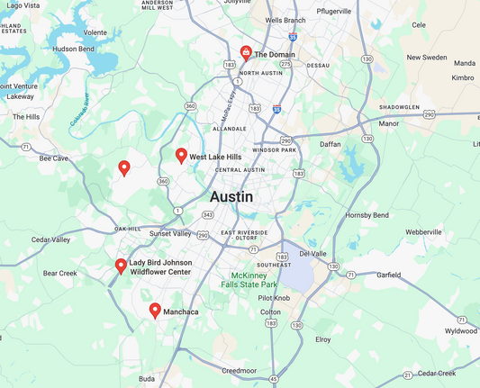 Out of Town Wedding (Zone One): Domain, Barton Creek, Westlake, Manchaca, Wildflower Center